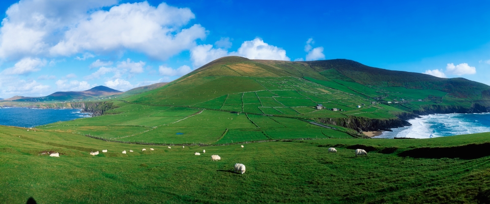 Slea Head Dingle Peninsula Co Kerry Ireland Poster Print by The Irish Image Collection - 44 x 18 - Large