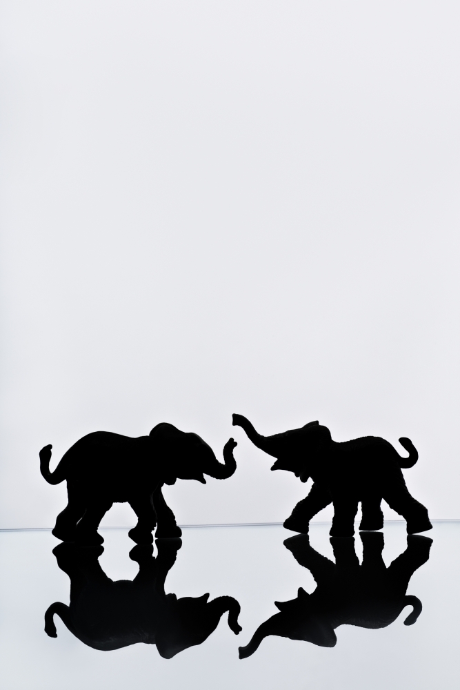 Elephant Pair Reflection Poster Print by Chris & Kate Knorr - 24 x 36 - Large