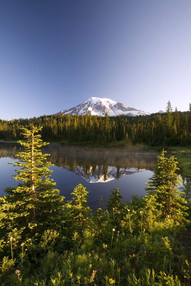 DPI1830367LARGE Lake & Mount Rainier Mount Rainier National Park Washington State USA Poster Print by Craig Tuttle, 22 x 34 - Large