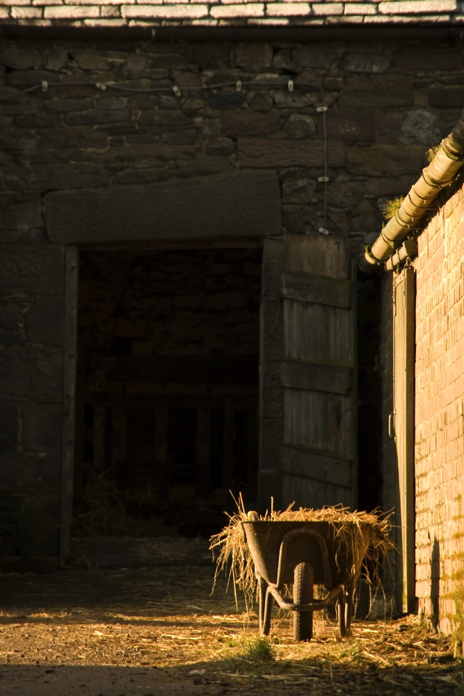 Wheelbarrow Beside A Barn Poster Print by John Short, 11 x 17