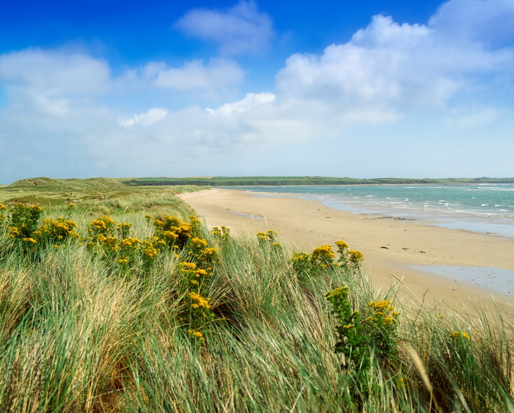 Sandunes At Fethard Co Wexford Ireland Poster Print by The Irish Image Collection, 17 x 13