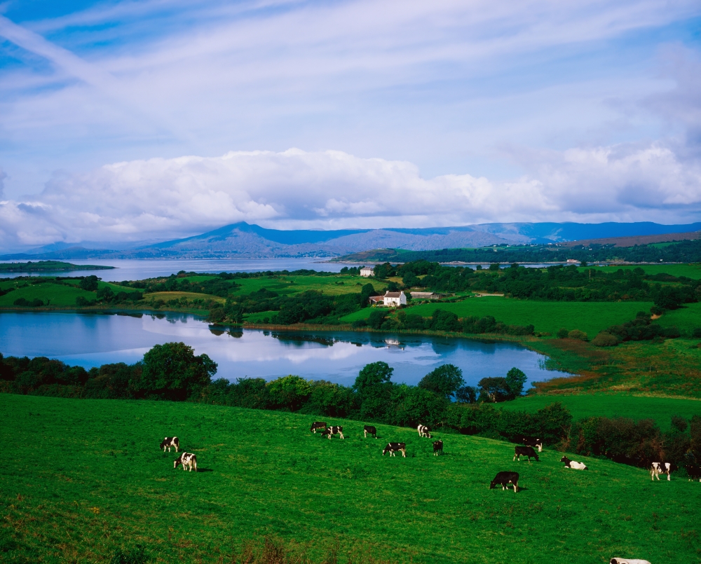 DPI1813478 Bantry Bay Co Cork Ireland Poster Print by The Irish Image Collection, 17 x 13