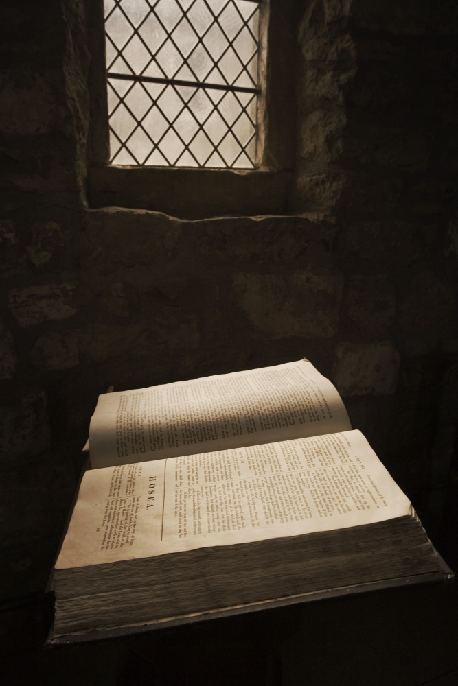 Bible Poster Print by John Short, 24 x 36 - Large