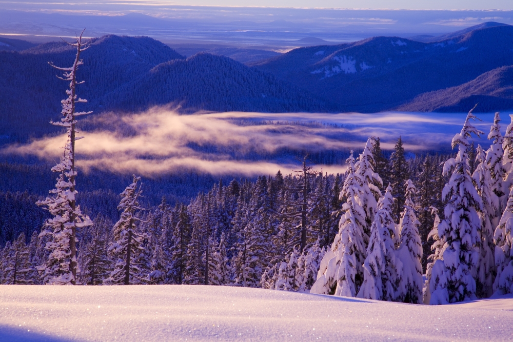 Winter Snow Cascade Range Oregon USA Poster Print by Craig Tuttle - 40 x 26 - Large