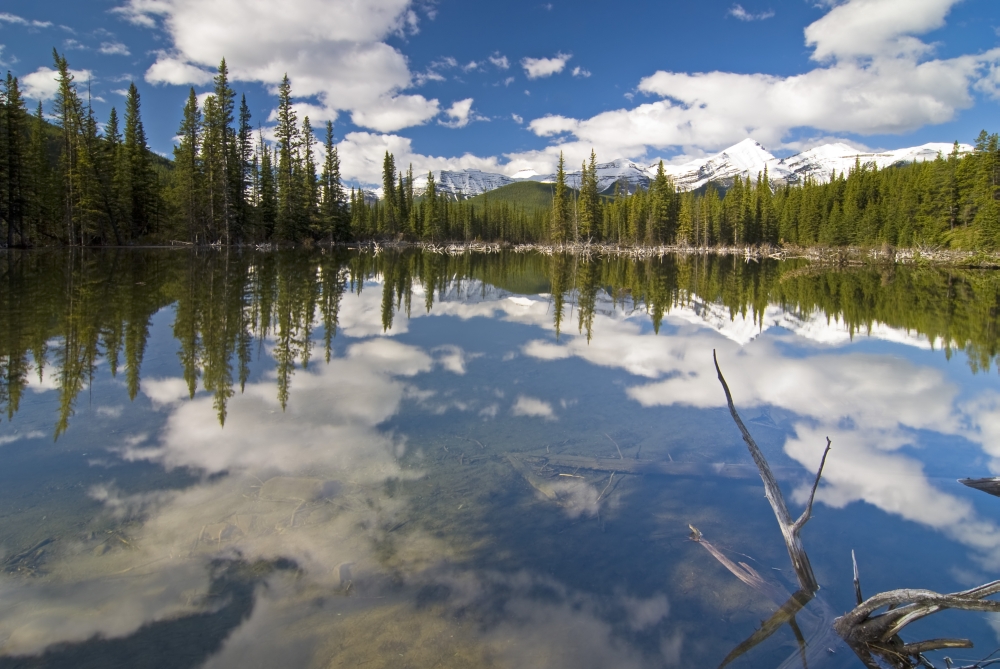 Reflection in Water Kananaskis Alberta Poster Print - 17 x 11