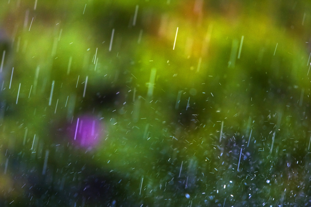 DPI1832704 Rainfall Poster Print, 17 x 11