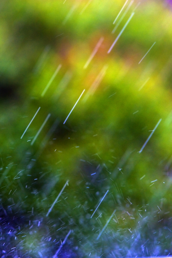 Rain Falling Poster Print, Large - 22 x 34