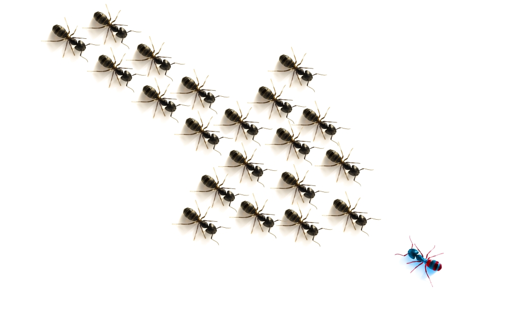 DPI1831663 Ants Forming An Arrow Poster Print, 19 x 12