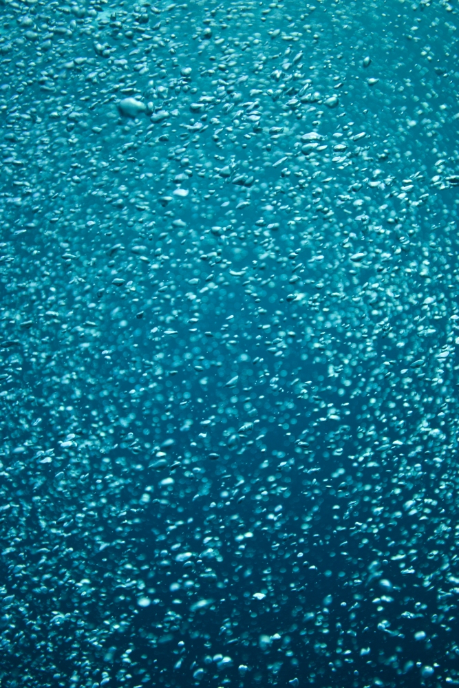 Bubbles Underwater Poster Print - 12 x 18
