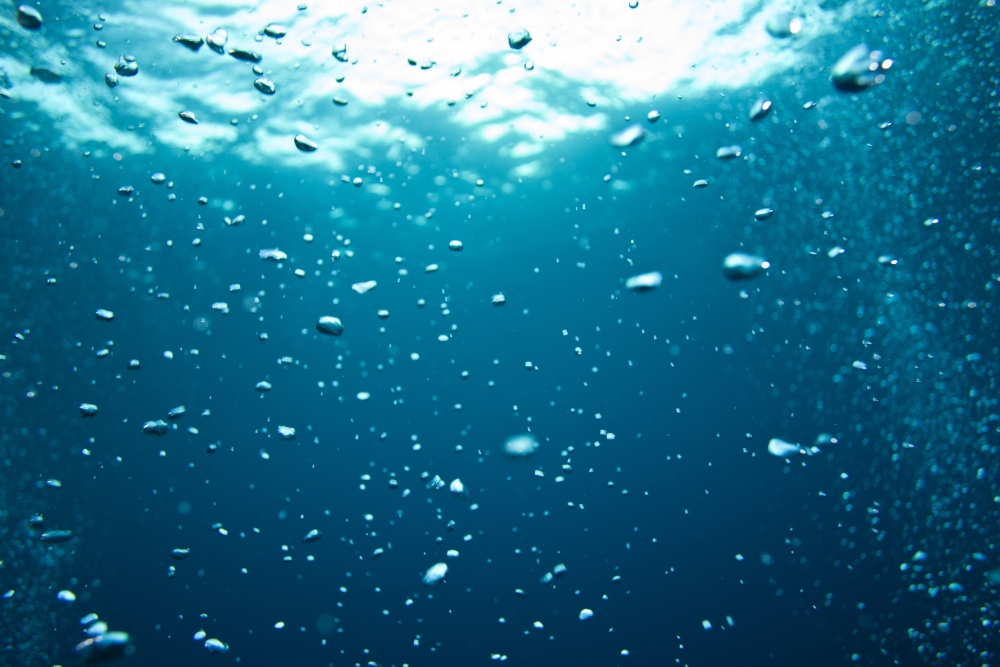 Bubbles Underwater Poster Print, Large - 36 x 24