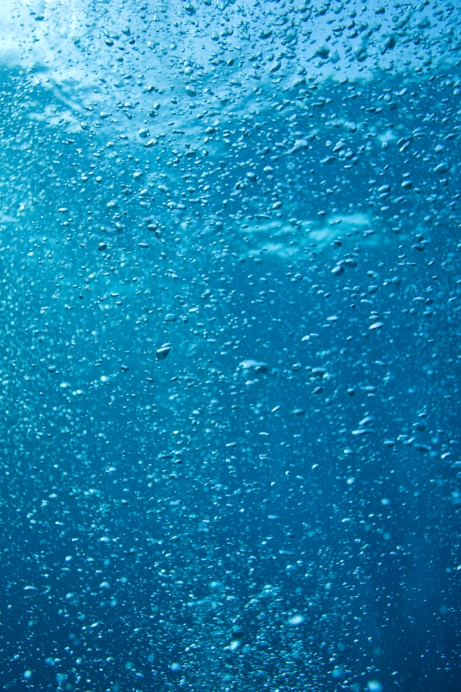 Bubbles Underwater Poster Print, 12 x 18