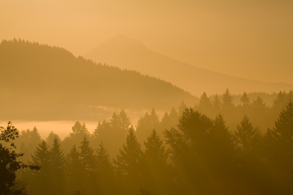 DPI1835867 Mount Hood Oregon USA - Silhouetted Landscape At Sunrise Poster Print, 20 x 13