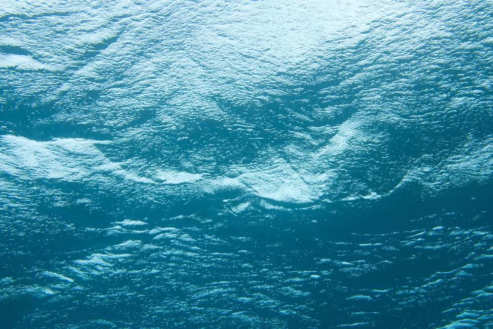 Underwater Image Poster Print, Large - 36 x 24