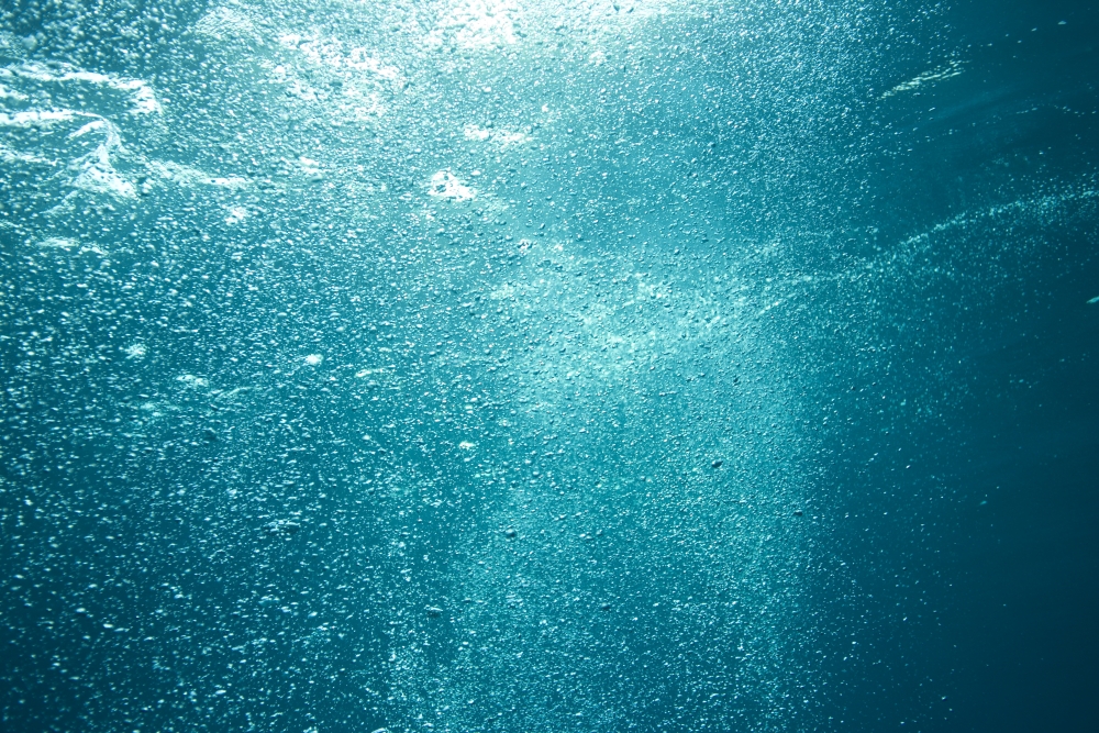 Bubbles Underwater Poster Print - 36 x 24