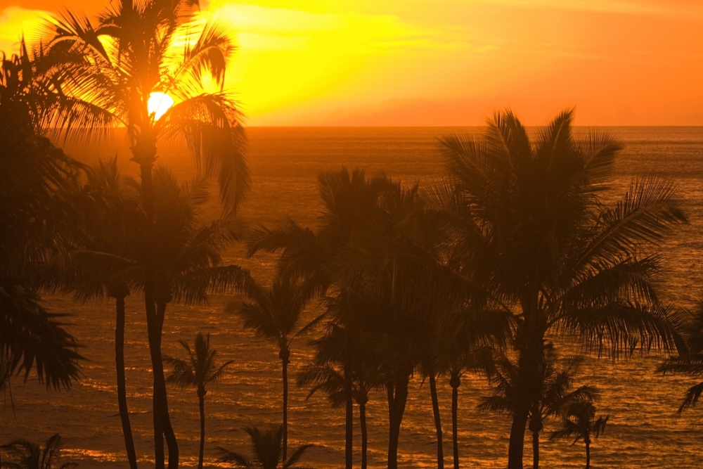 Sunset On Beach Wailea Hawaii Poster Print, Large - 36 x 24