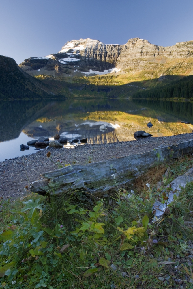 Cameron Lake Alberta Canada Poster Print, Large - 22 x 34