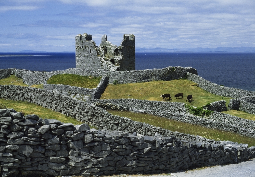 Inisheer Aran Islands Co Galway Ireland - Obrien Castle Poster Print