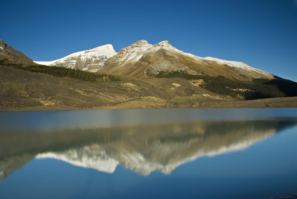 Sunwapta Lake Jasper National Park Alberta Canada Poster Print - 17 x 11