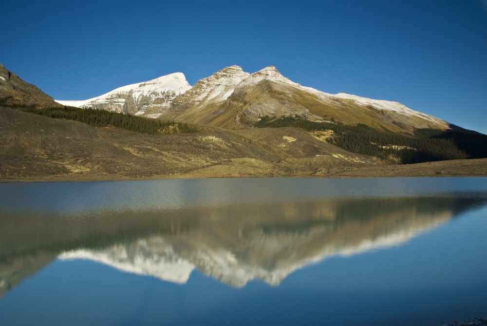 Sunwapta Lake Jasper National Park Alberta Canada Poster Print, Large - 34 x 22