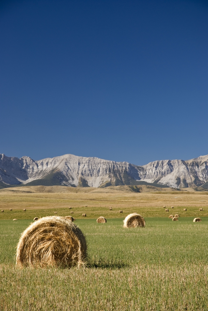 Southern Alberta Canada - Hay Bales Poster Print