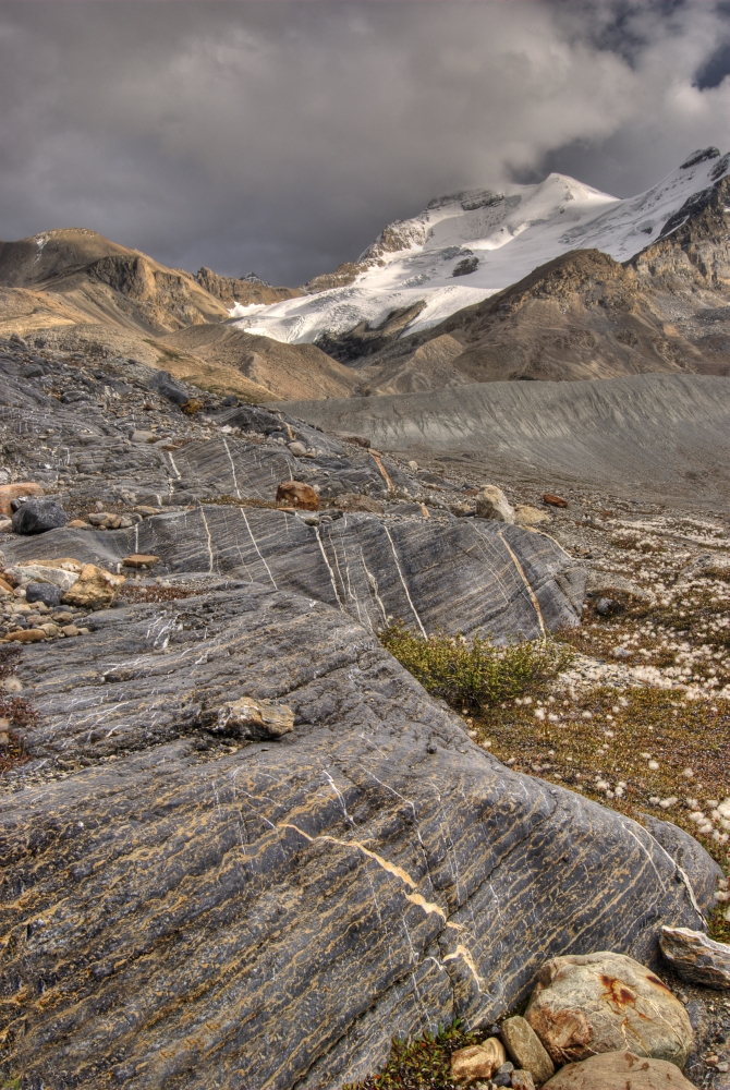 Mount Athabasca - Jasper National Park Alberta Canada Poster Print - 11 x 17