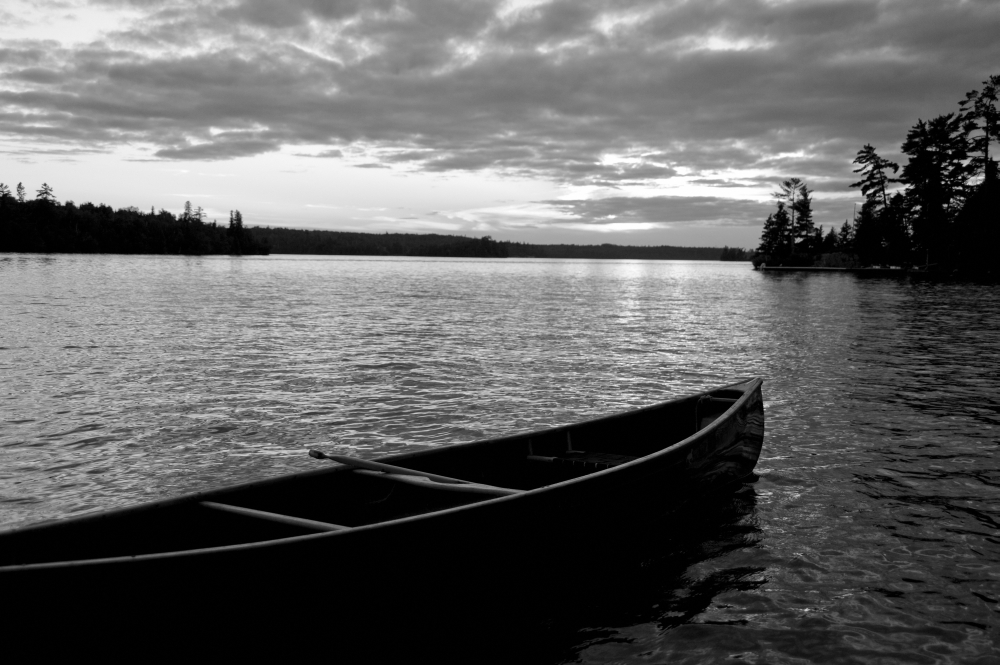 Abandoned Canoe Floating On Water Poster Print - 19 x 12