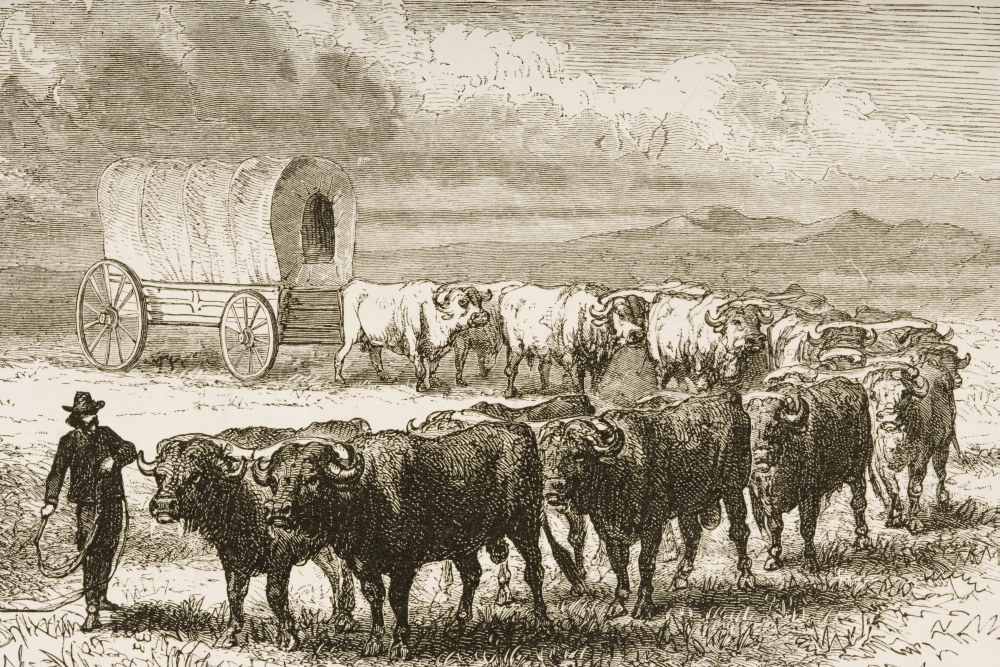 Picture of Posterazzi DPI1839471 Bullock Wagon Crossing The Great Plains From American Pictures Drawn with Pen & Pencil by Rev Samuel Manning Circa 1880 Poster Print&#44; 17 x 11