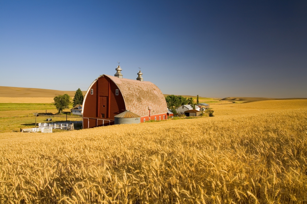DPI1840000LARGE Sunset Barn & Wheat Field - Steptoe Butt Washington USA Poster Print, Large - 40 x 26