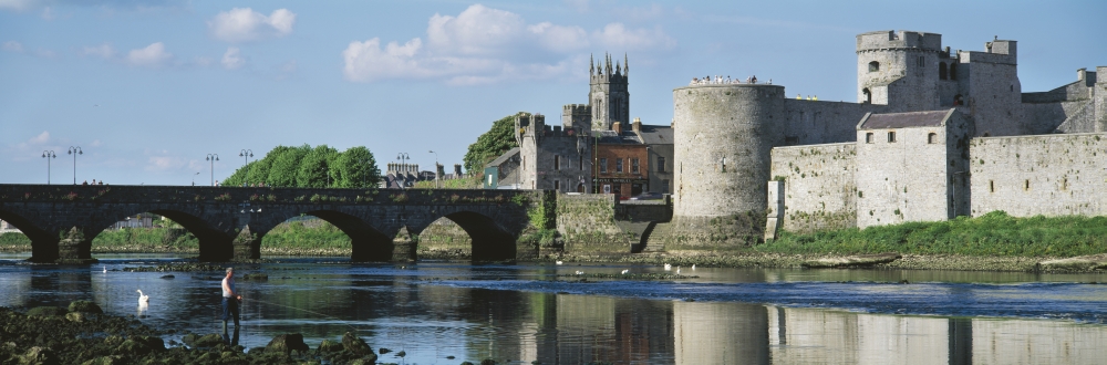 Castles St Johns Castle Co Limerick Poster Print, Large - 44 x 15