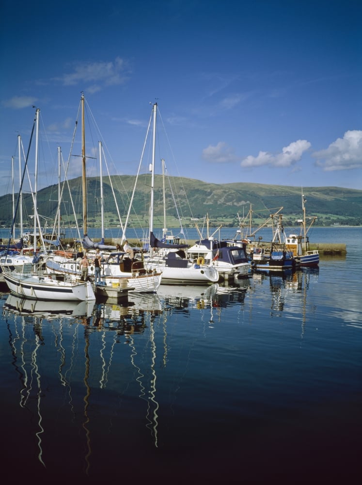 DPI1840856 Carlingford Yacht Marina Co Louth Ireland Poster Print, 13 x 17