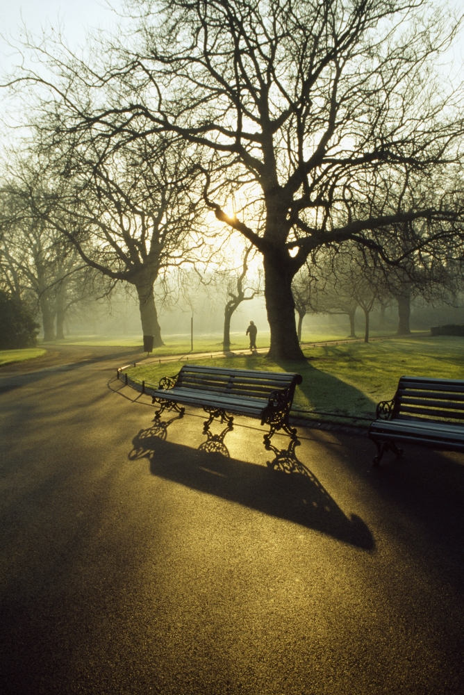 Dublin - Parks St. Stephens Green Poster Print - 12 x 18