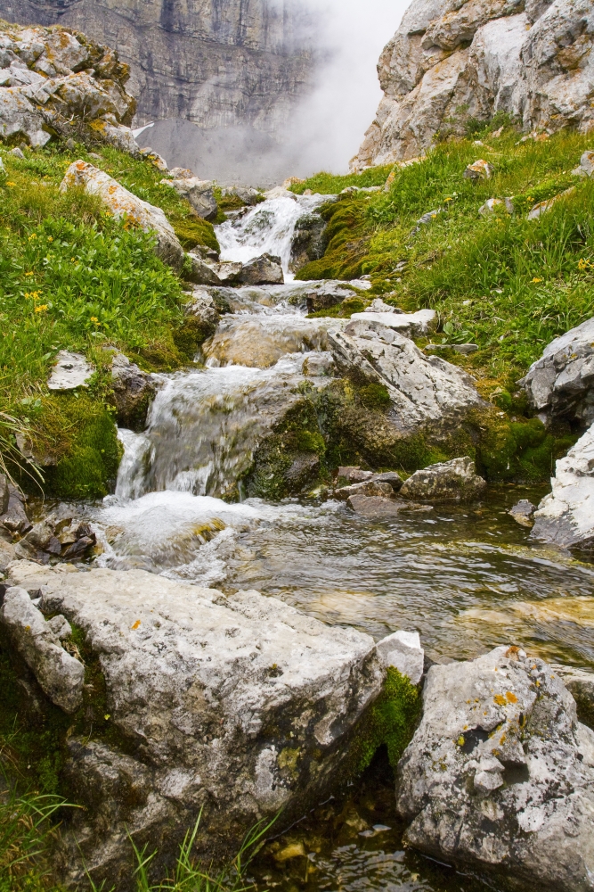 Stream in Kananaskis Alberta Canada Poster Print, Large - 22 x 34