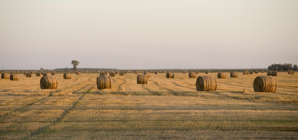 Hay Bales Manitoba Canada Poster Print - 44 x 21