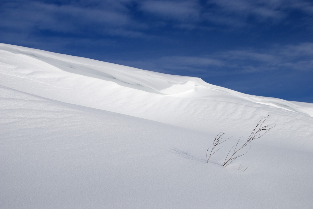 Snow Covered Slope with Blue Sky Poster Print, Large - 34 x 22
