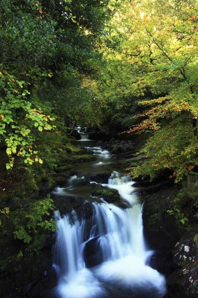 DPI1844918LARGE Torc Waterfall Killarney National Park County Kerry Ireland Poster Print, Large - 24 x 36