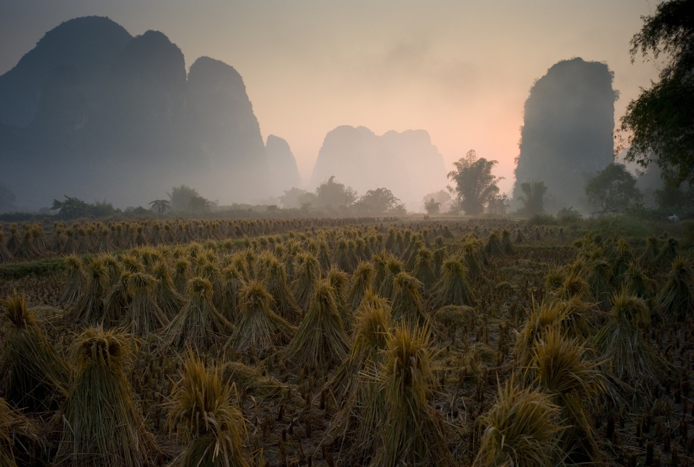 Bundles in Mountain Area - Yangshuo China Poster Print