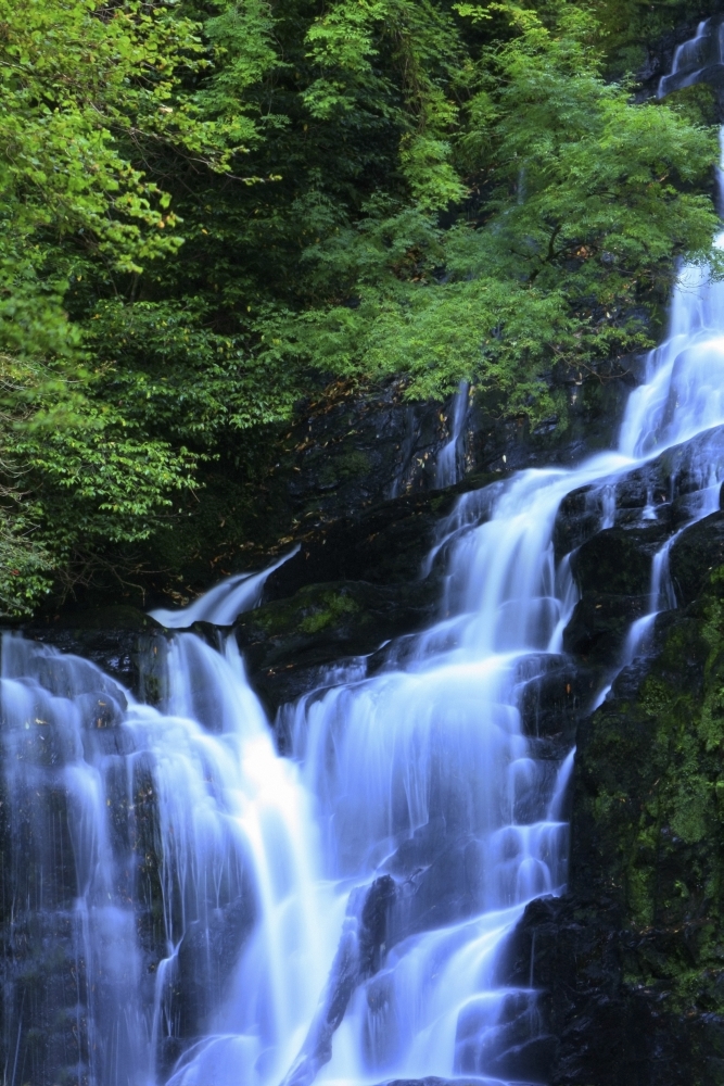 DPI1844912LARGE Torc Waterfall Killarney National Park County Kerry Ireland Poster Print, Large - 24 x 36