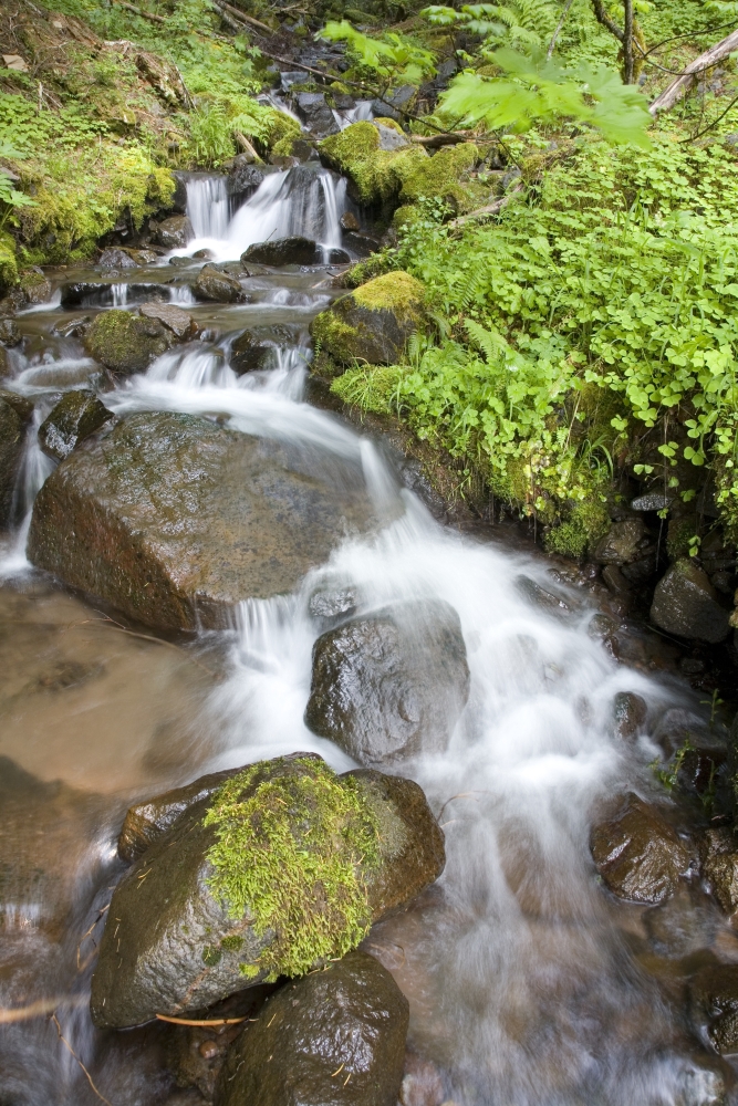 DPI1845527LARGE Water Cascading Over Rocks Mount Hood National Forest Oregon United States of America Poster Print, Large - 24 x 36