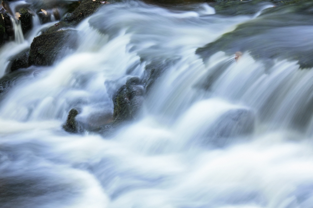 DPI1844932 Killarney Co Kerry Ireland Osullivans Cascade in Killarney National Park Poster Print, 18 x 12