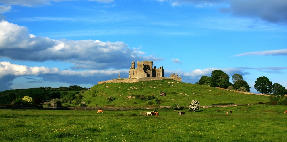 Rock of Cashel Cashel County Tipperary Ireland Poster Print - 30 x 15