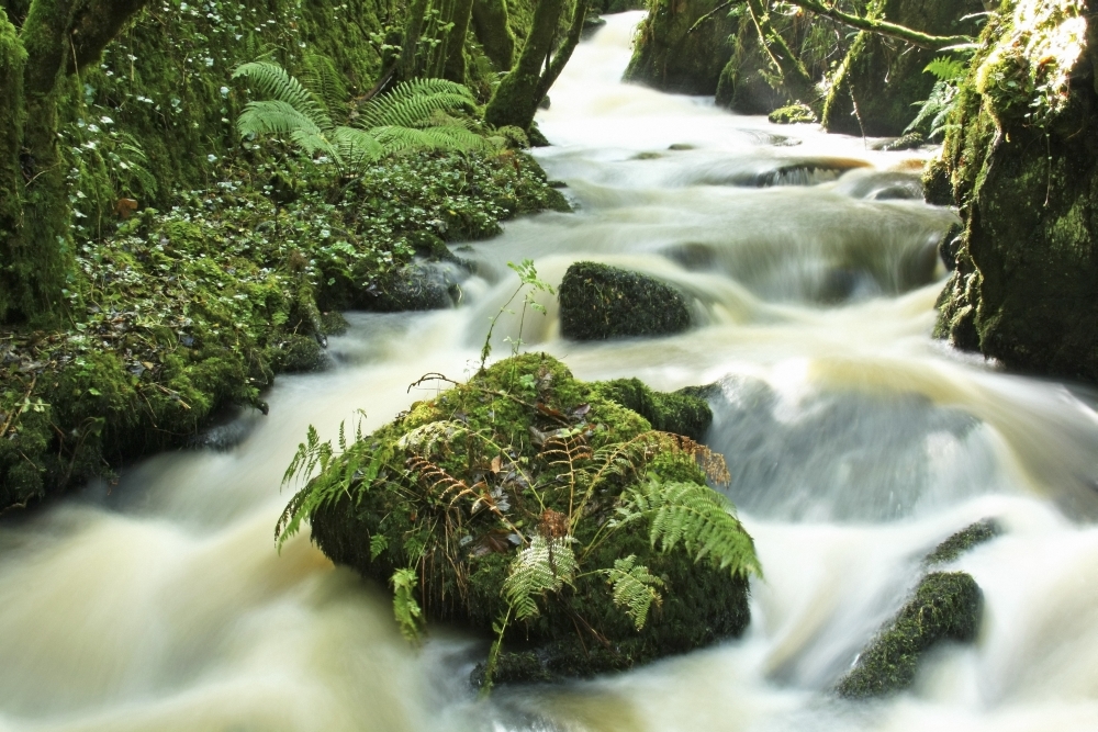 County Cork Ireland River Poster Print - 18 x 12