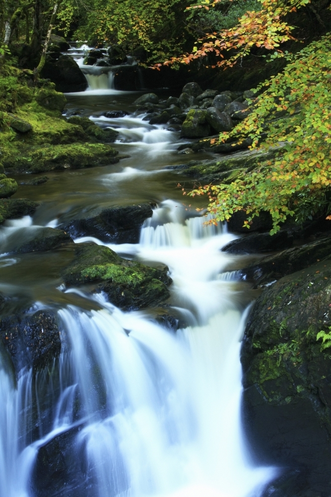 DPI1844923LARGE Torc Waterfall Killarney National Park County Kerry Ireland Poster Print, Large - 24 x 36