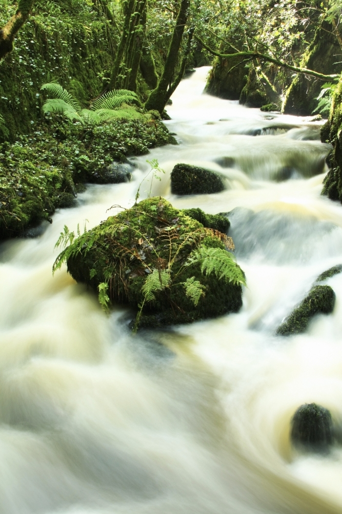 County Cork Ireland River Poster Print - 12 x 18