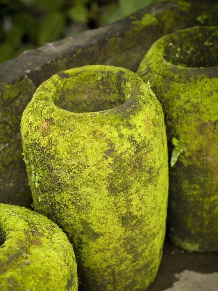 Moss Covered Urns Poster Print, 15 x 20