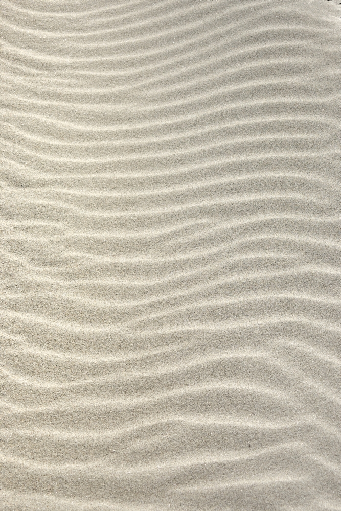 Ripples in The Sand Poster Print - Large - 24 x 38