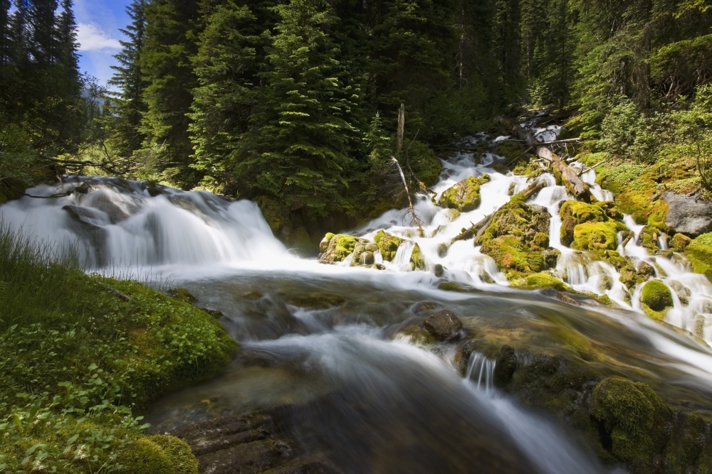 Scenic View of A Stream Poster Print - 38 x 24