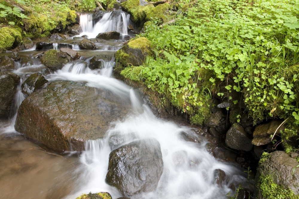 DPI1845528LARGE Water Cascading Over Rocks Mount Hood National Forest Oregon United States of America Poster Print, Large - 36 x 24
