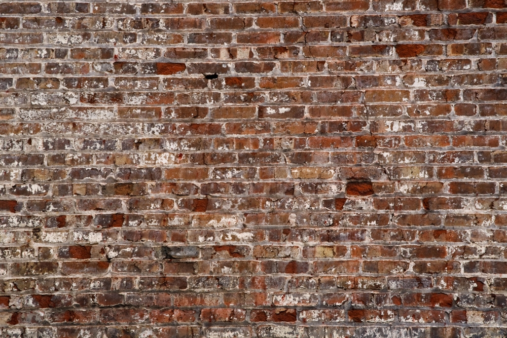 DPI1852107 Brick Wall Poster Print, 19 x 12