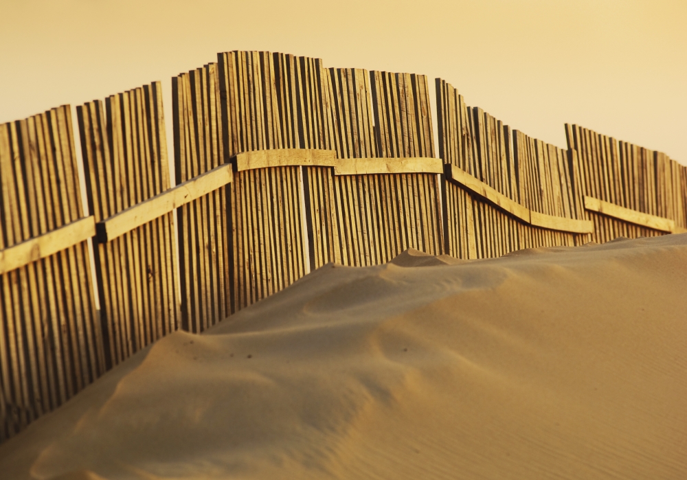 Fence On Beach Poster Print, 18 x 13