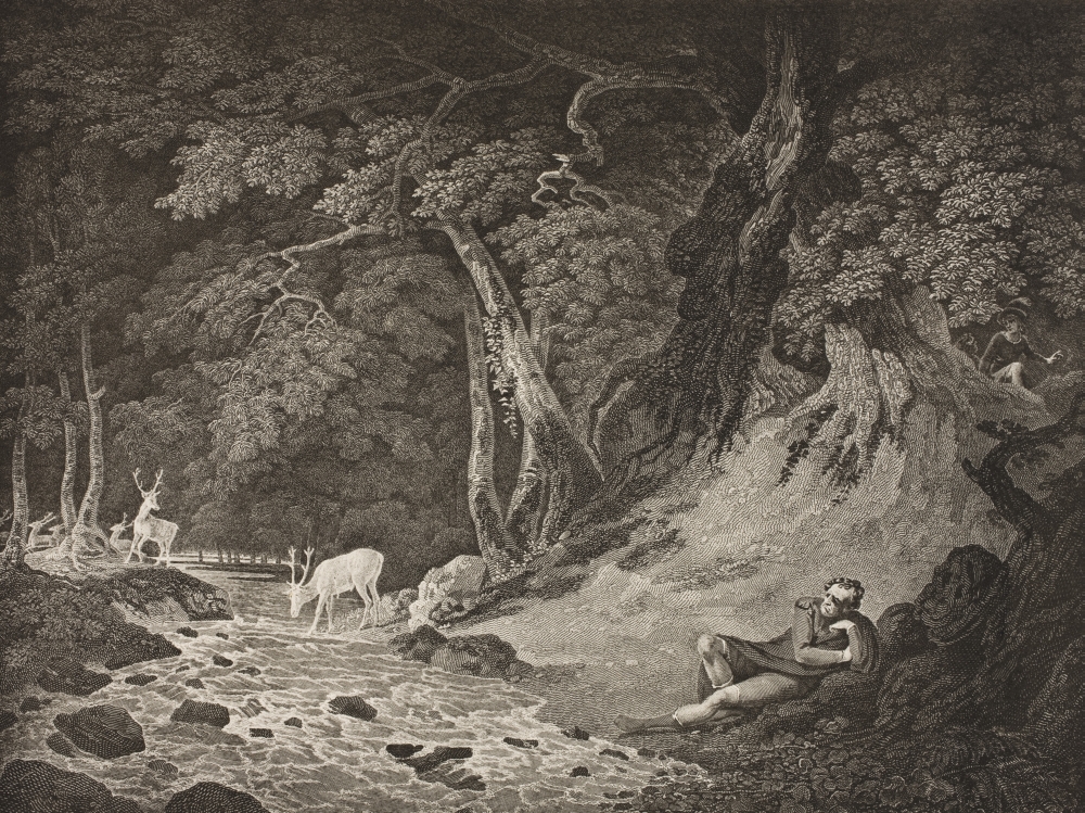 As You Like It. Act II Scene I. The Forest of Arden. Jaques Amiens & Lord Poster Print - Large - 34 x 24